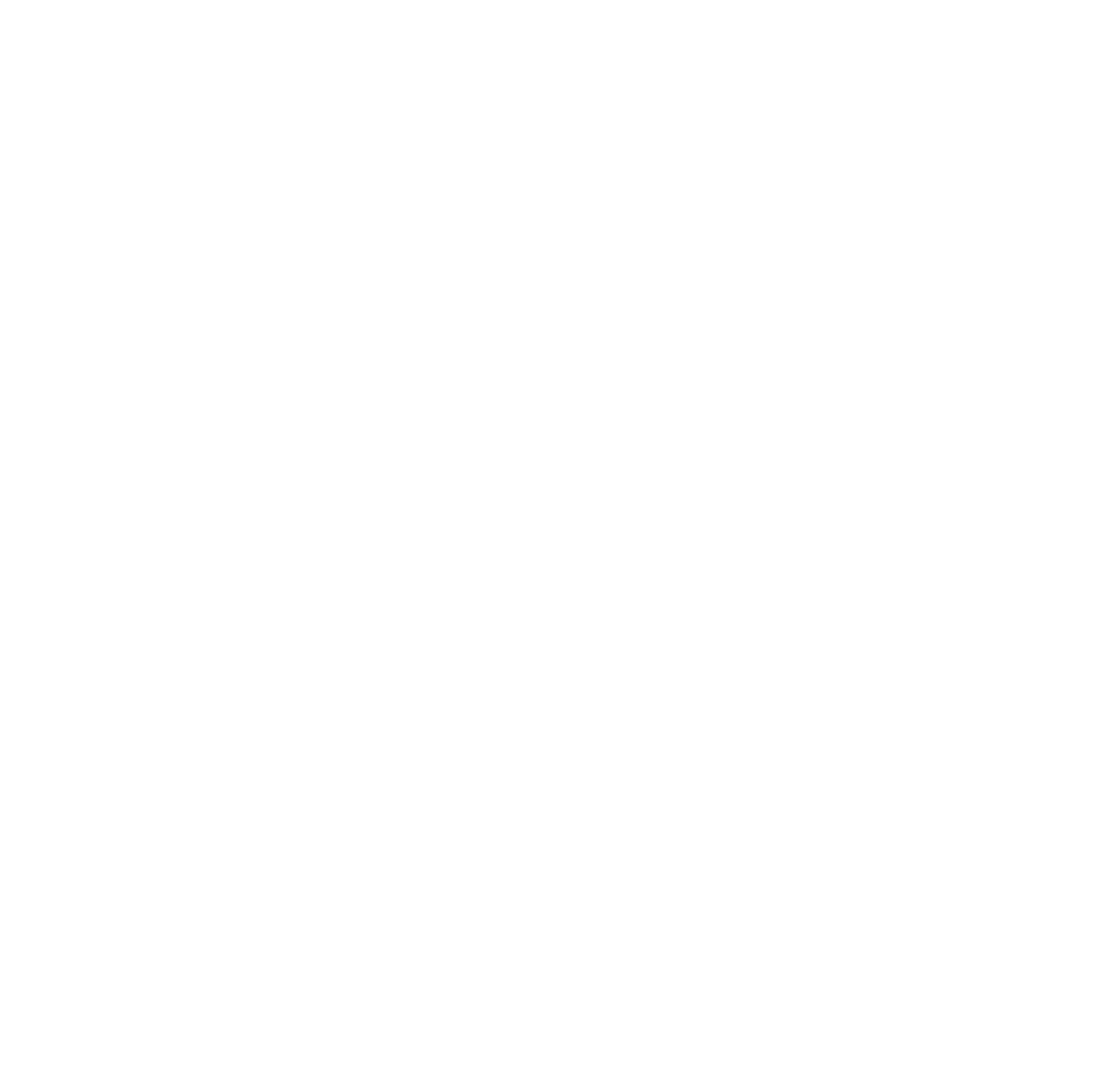Primair-logo-wit-BUGG